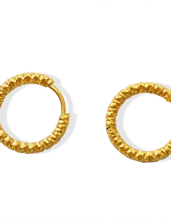 Gold Plated Earrings